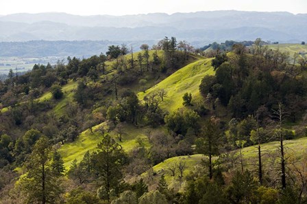Over the Hill by Lance Kuehne art print