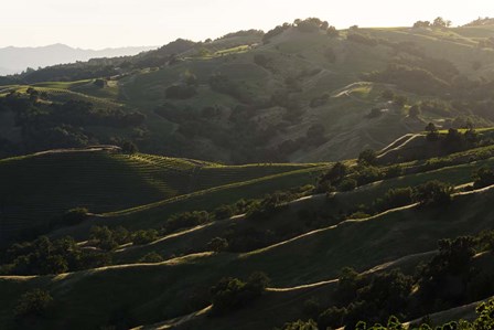 Rim Light by Lance Kuehne art print