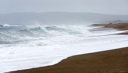 Spring at the Beach by Lance Kuehne art print