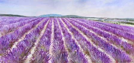 Lavender V by Li Bo art print