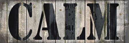 Country Sign 5 by LightBoxJournal art print