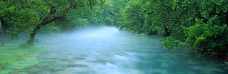 Creek flowing through a Forest, Ozark National Scenic Riverways, Ozark Mountains, Missouri by Panoramic Images art print