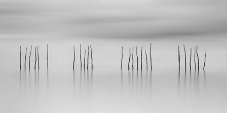 Sticks by Moises Levy art print