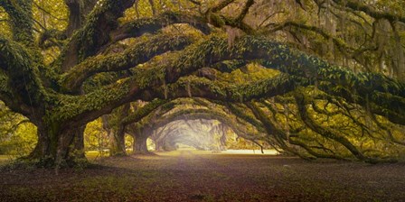 Passage 1 Soft Color by Moises Levy art print