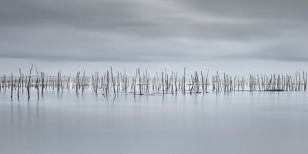 Drawing Lines by Moises Levy art print