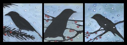 Winter Bird Triptych by Tim Nyberg art print
