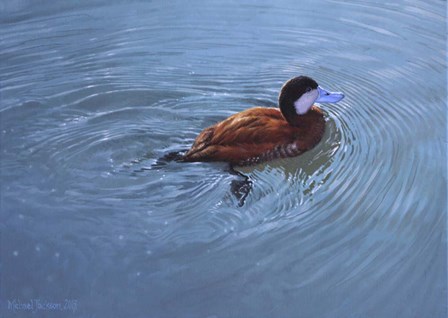 Duck by Michael Jackson art print