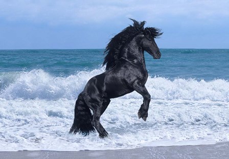 Black Knight by Bob Langrish art print