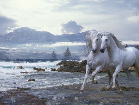 Cold Mountain by Bob Langrish art print