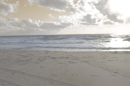 Serene Sea II by Sharon Chandler art print
