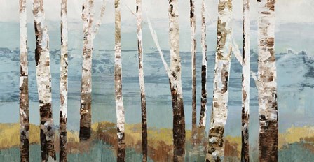 Birch Reflection by Allison Pearce art print