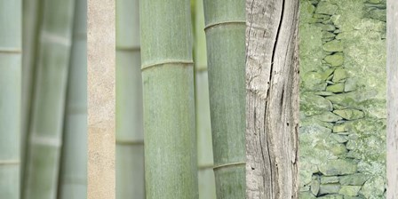Green Bamboo Collage by Cora Niele art print