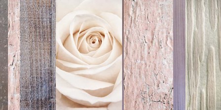 Ivory Rose Ccollage by Cora Niele art print