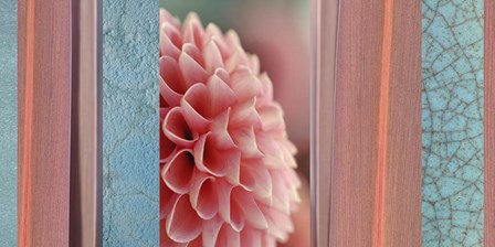 Salmon-pink Dahlia Collage by Cora Niele art print