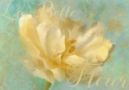 La Belle Fleur I by Cora Niele art print