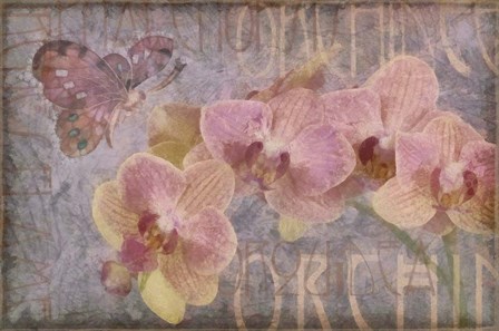 Orchid II by Cora Niele art print