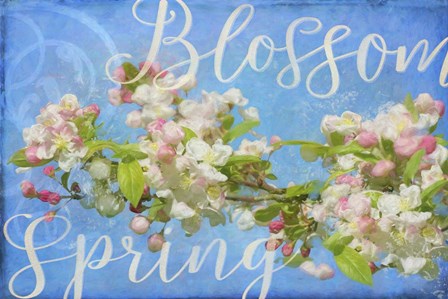Spring Blossom by Cora Niele art print