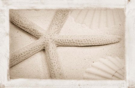 Starfish, Shells and Sand by Cora Niele art print