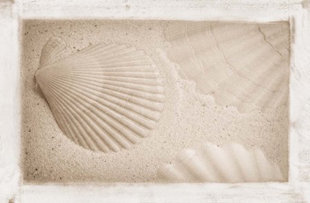 White Shells and Sand by Cora Niele art print