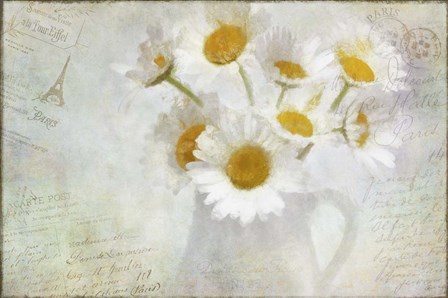 Daisies Paris Vintage by Cora Niele art print