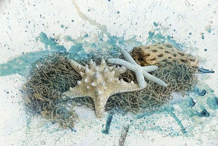 Found At Sea by Jai Johnson art print