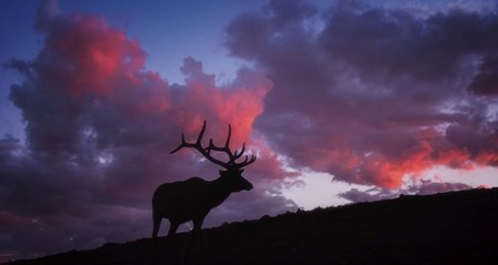 Sunset in the Rockies by Darren White Photography art print