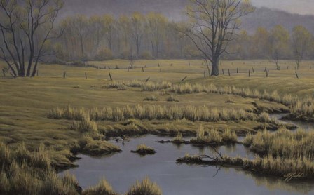 Spring Pasture - Mallard Pair by Wilhelm J. Goebel art print