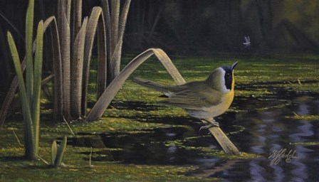 Yellow-Throat by Wilhelm J. Goebel art print