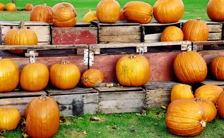 Pumpkins by Ata Alishahi art print