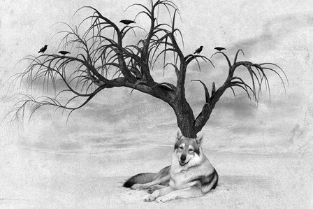 Lone Wolf And Tree by Ata Alishahi art print