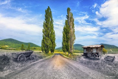 Blackwhite and Color by Ata Alishahi art print