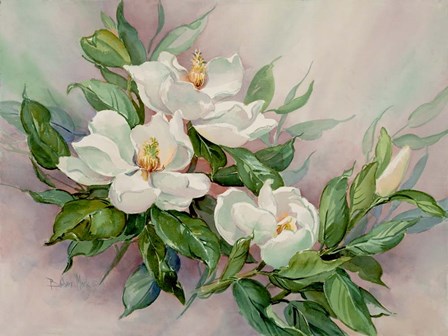 Magnolia Blossoms by Barbara Mock art print