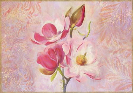 Magnolia Ii by Cora Niele art print