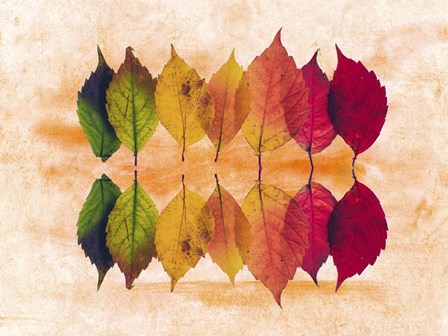 Color Of Autumn by Ata Alishahi art print