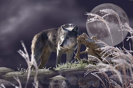 First Frost by Gordon Semmens art print