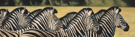 Zebras by Graeme Stevenson art print