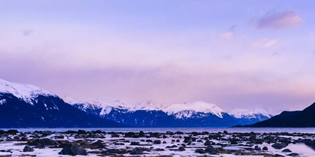 Frozen Shoreline by Brenda Petrella Photography LLC art print