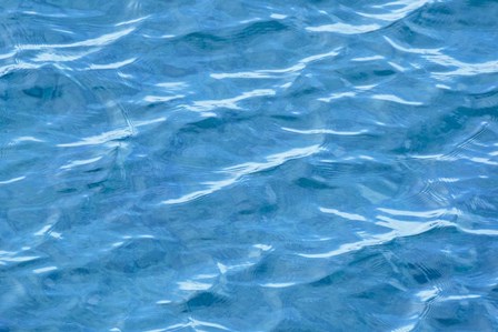 Gentle Ripples by Brenda Petrella Photography LLC art print