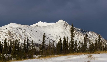Stormy Peak by Brenda Petrella Photography LLC art print