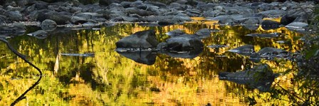 Stream In Autumn by Brenda Petrella Photography LLC art print