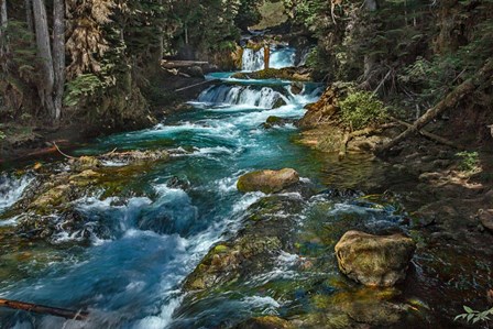 McKensie River by Larry McFerrin art print