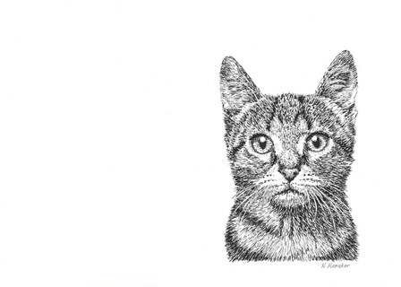 Cat by Let Your Art Soar art print