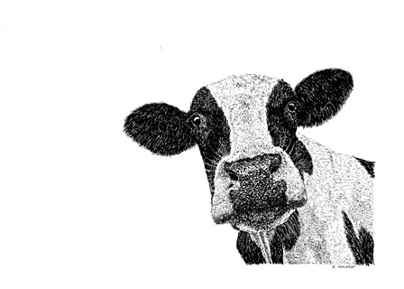 Cow by Let Your Art Soar art print