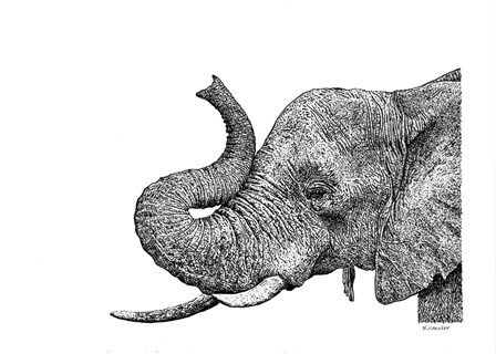 Elephant by Let Your Art Soar art print