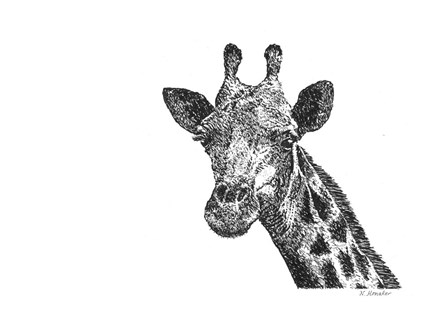 Giraffe by Let Your Art Soar art print