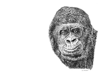 Gorilla by Let Your Art Soar art print