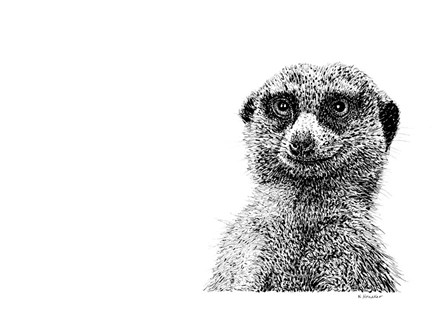 Meerkat by Let Your Art Soar art print