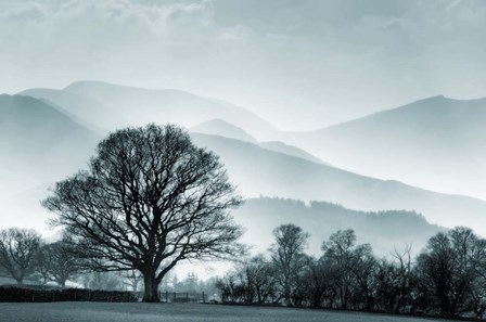 Blue Landscape with Tree by Tom Quartermaine art print
