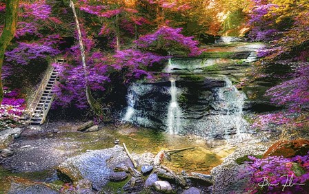 What Dreams May Come by 5fishcreative art print