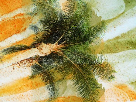 Sunny Morning by Irena Orlov art print
